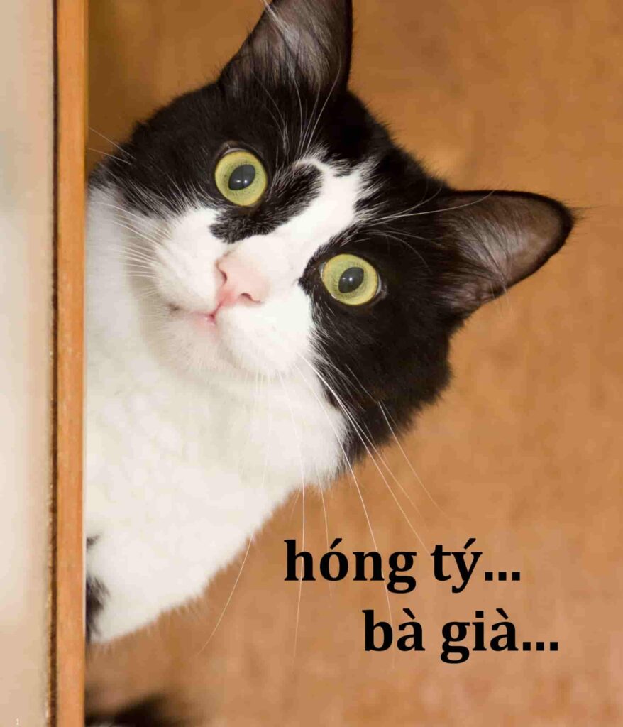 meme bất ngờ